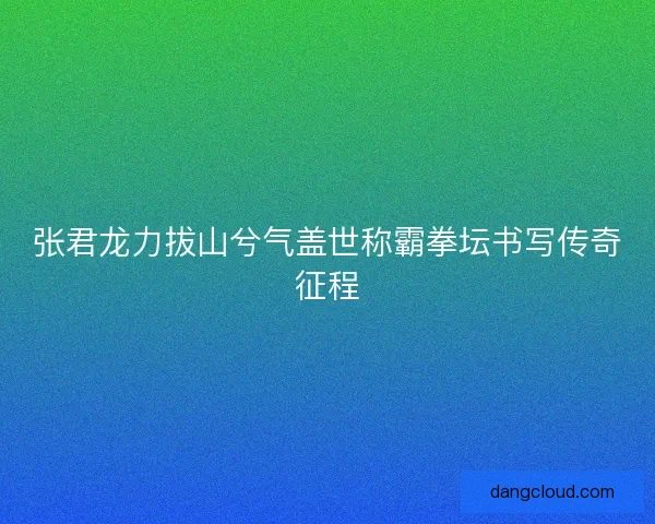 张君龙力拔山兮气盖世称霸拳坛书写传奇征程