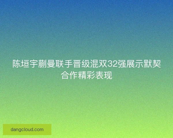 陈垣宇蒯曼联手晋级混双32强展示默契合作精彩表现